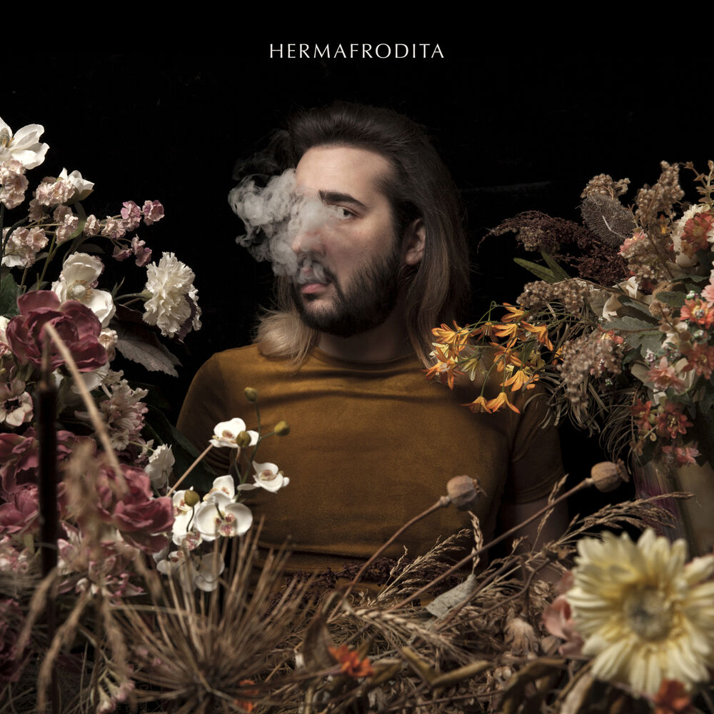 Picture of Hermafrodita