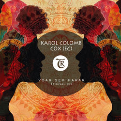 Cover of Voar Sem Parar by undefined