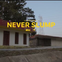 Cover of Never Slump