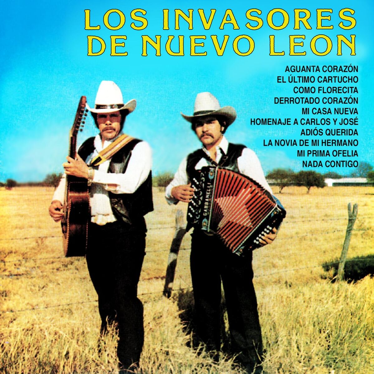 Album cover of Aguanta Corazón