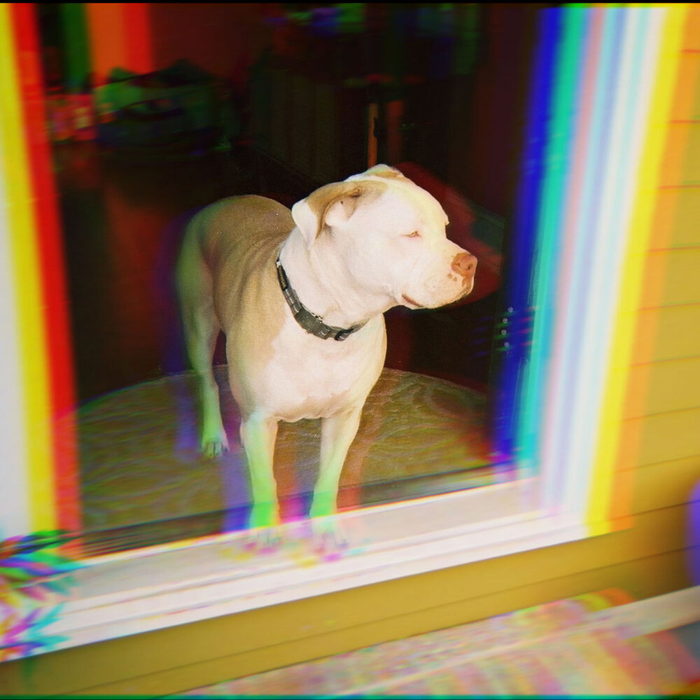 Picture of Xxxooxxo