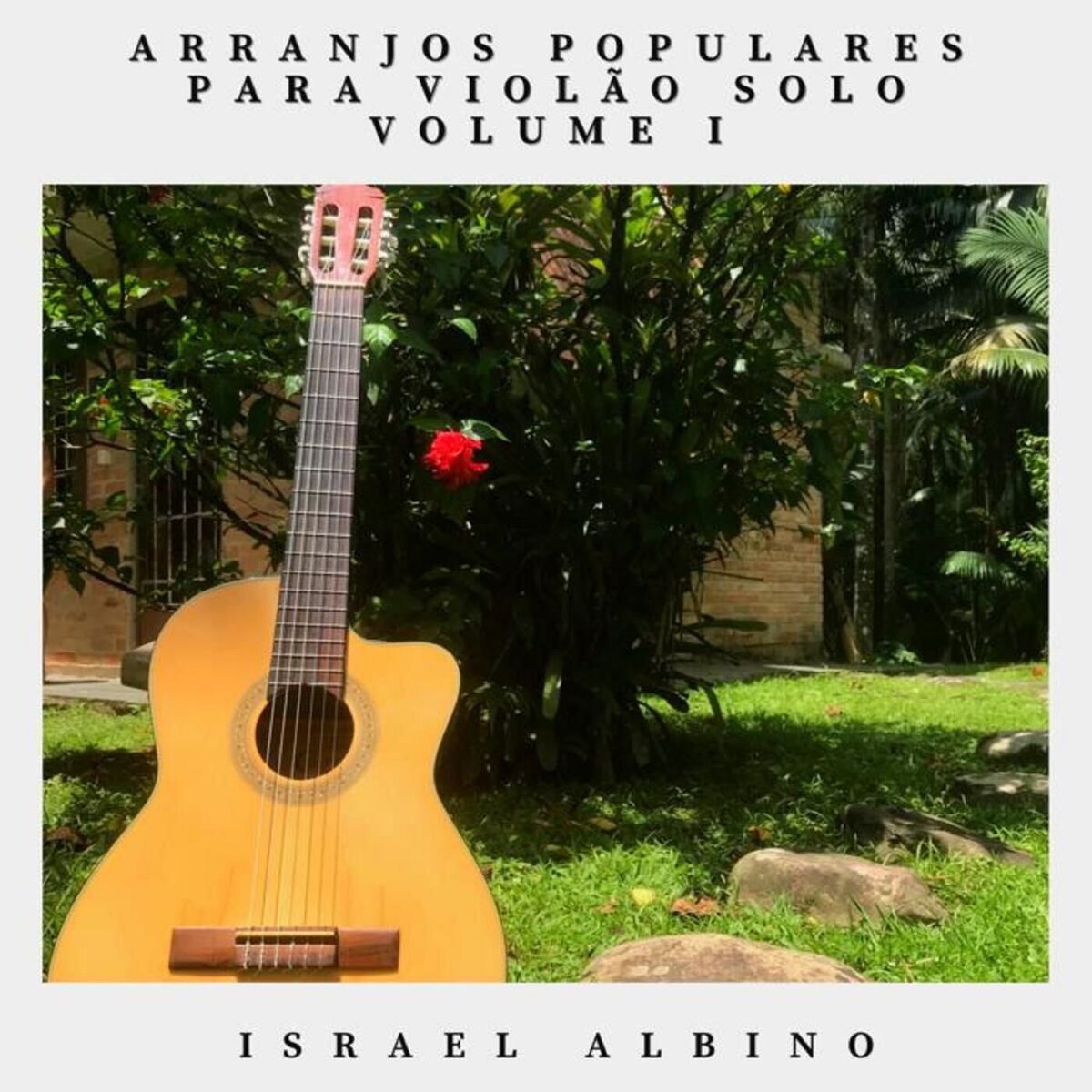 Album cover of Arranjos Populares para Violão Solo Vol. I