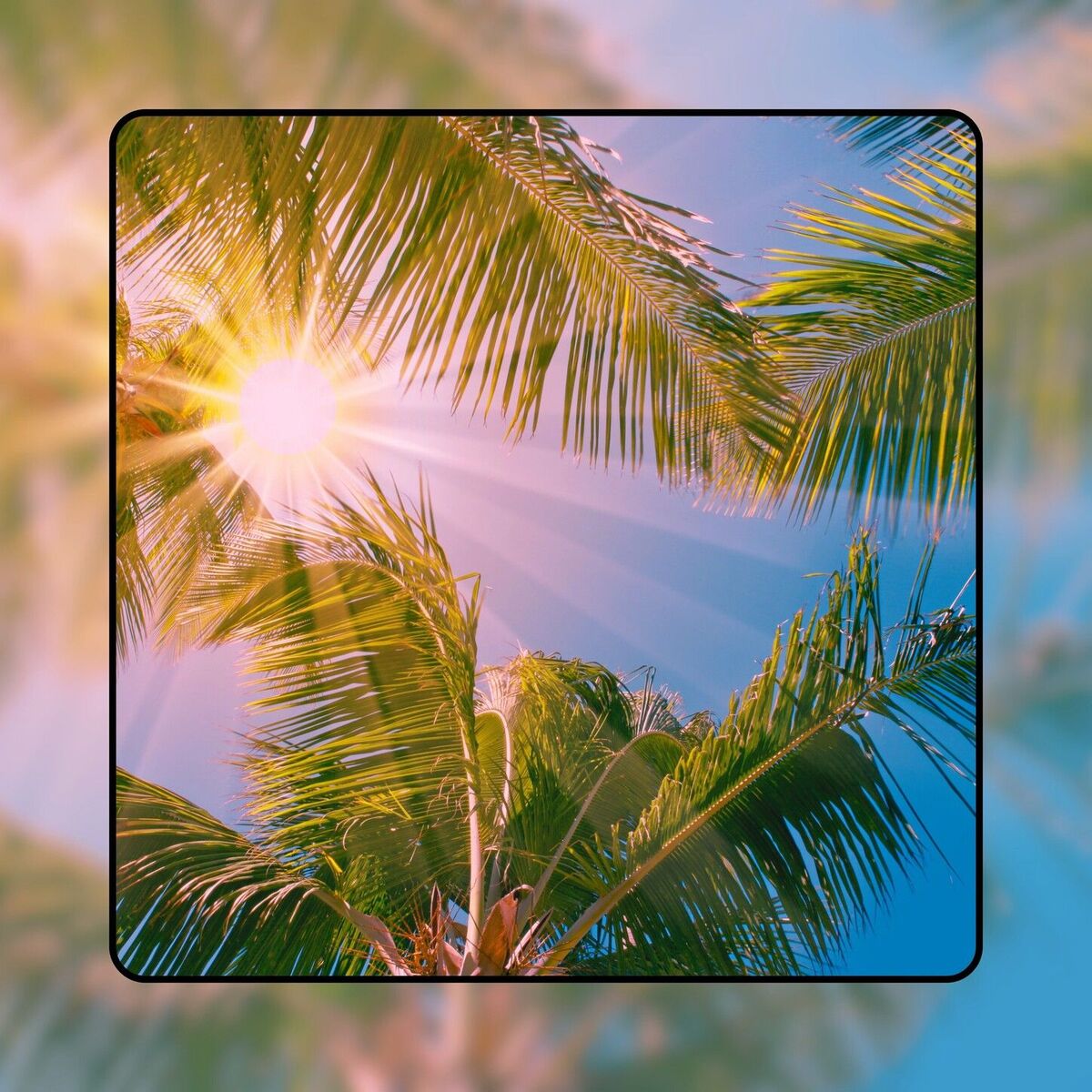Album cover of Sunny Days