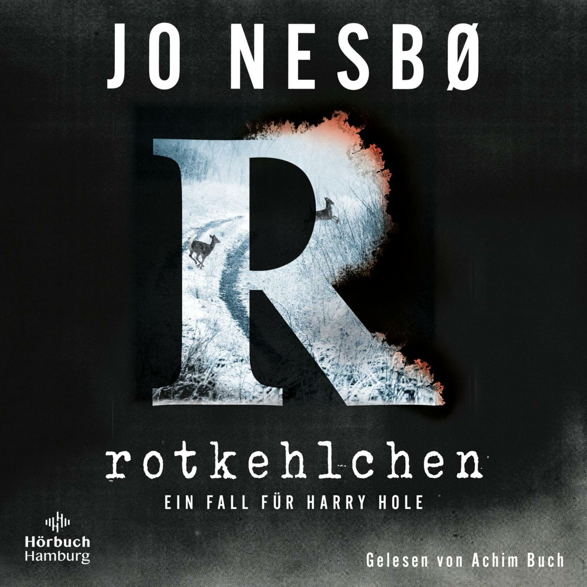 Album cover of Rotkehlchen (Ein Harry-Hole-Krimi 3)