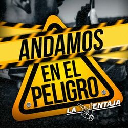 Cover of Andamos En El Peligro