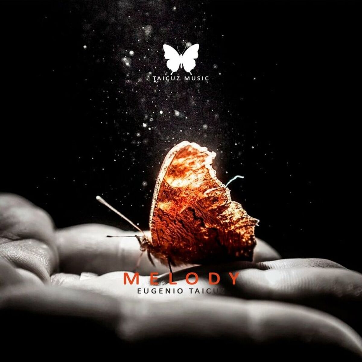 Album cover of Melody