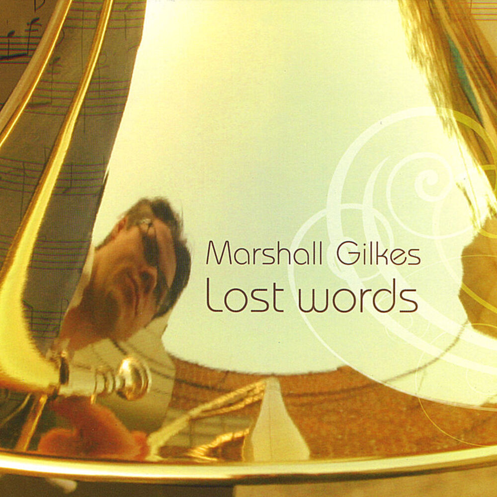 Picture of Lost Words