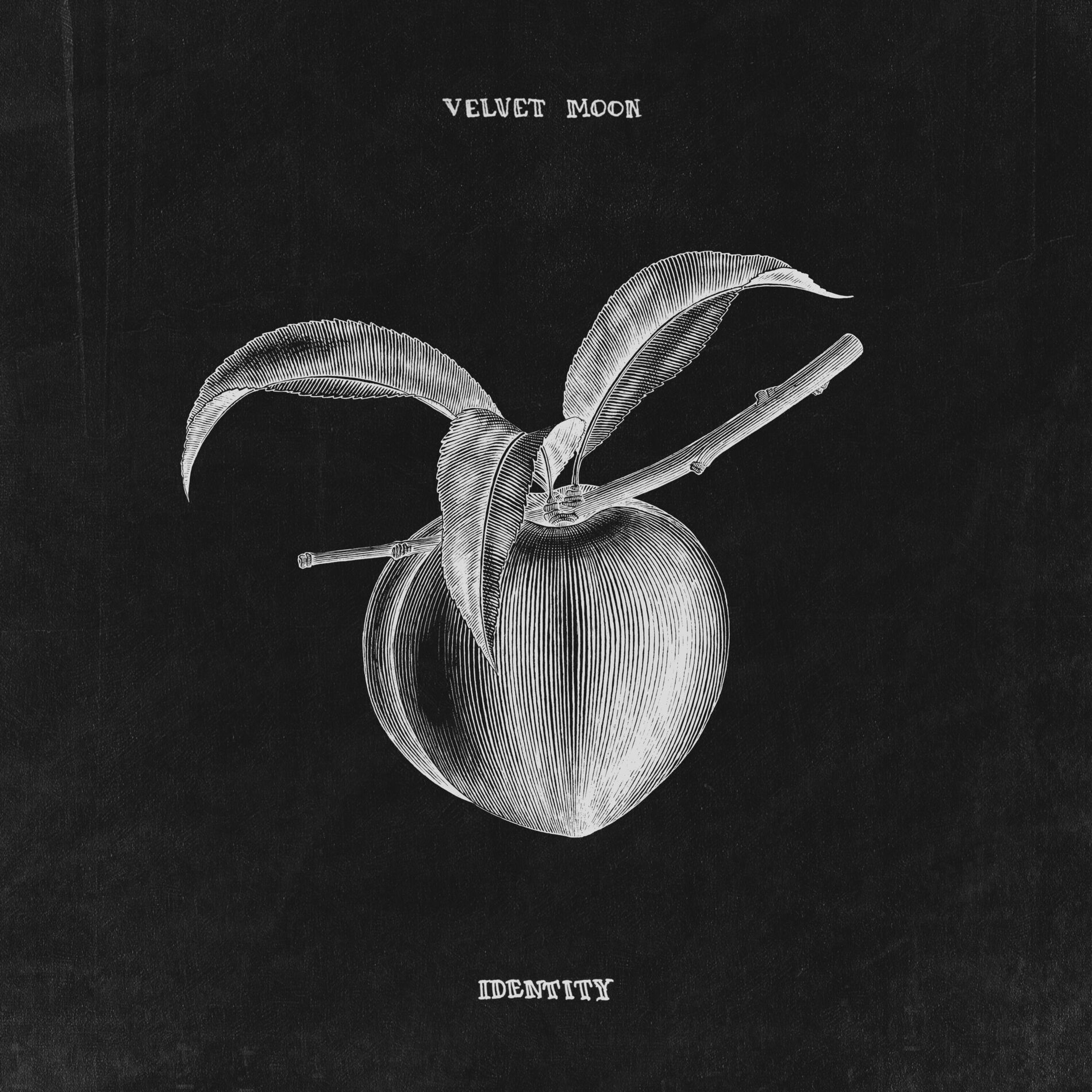 Album cover of Identity