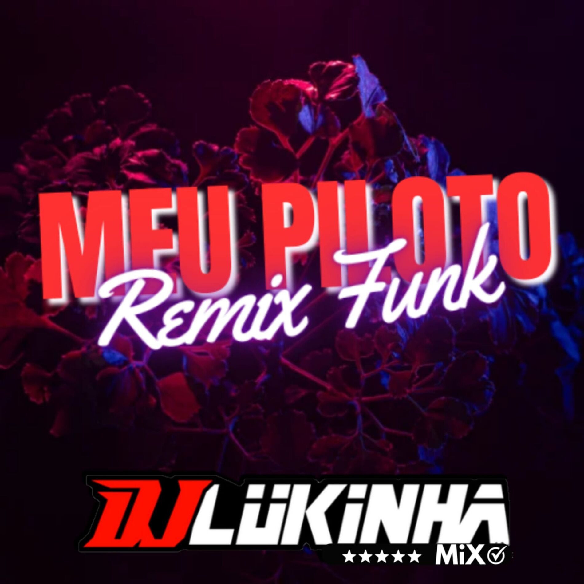 Album cover of Meu Piloto