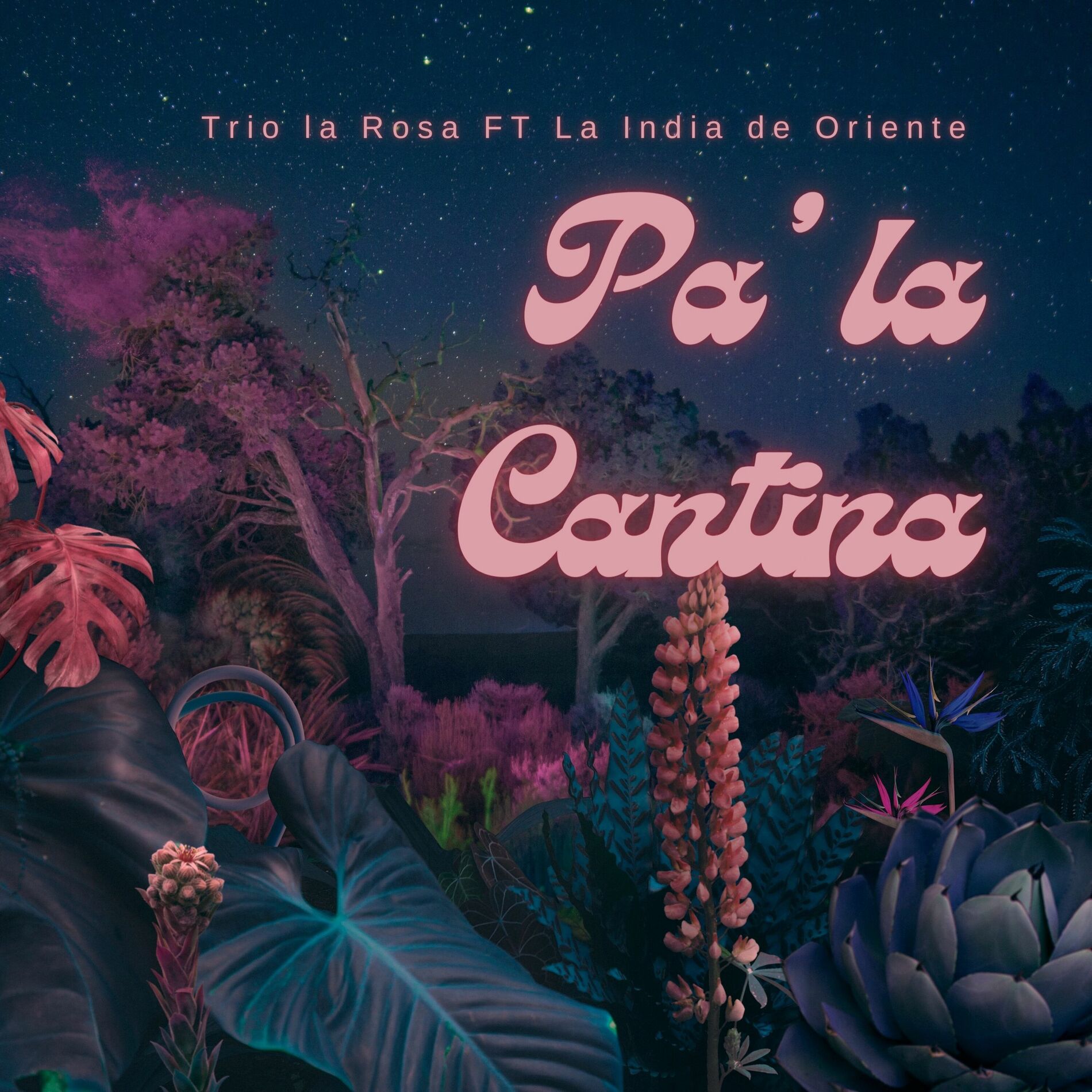 Album cover of Pa' la Cantina