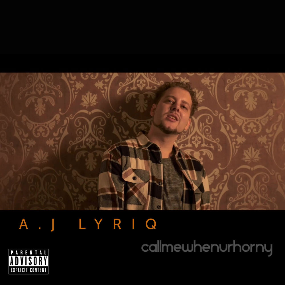 CallMeWhenUrHorny artwork