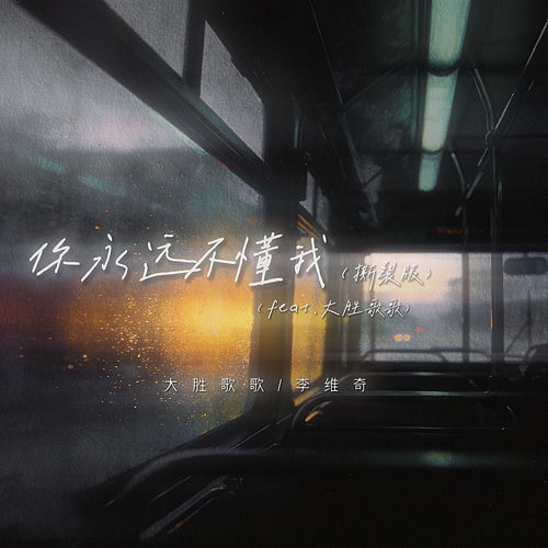 你永远不懂我 (撕裂版)