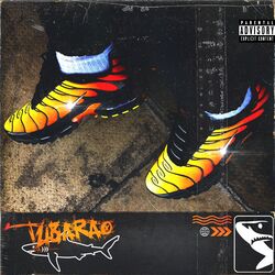 Cover of Tubarão