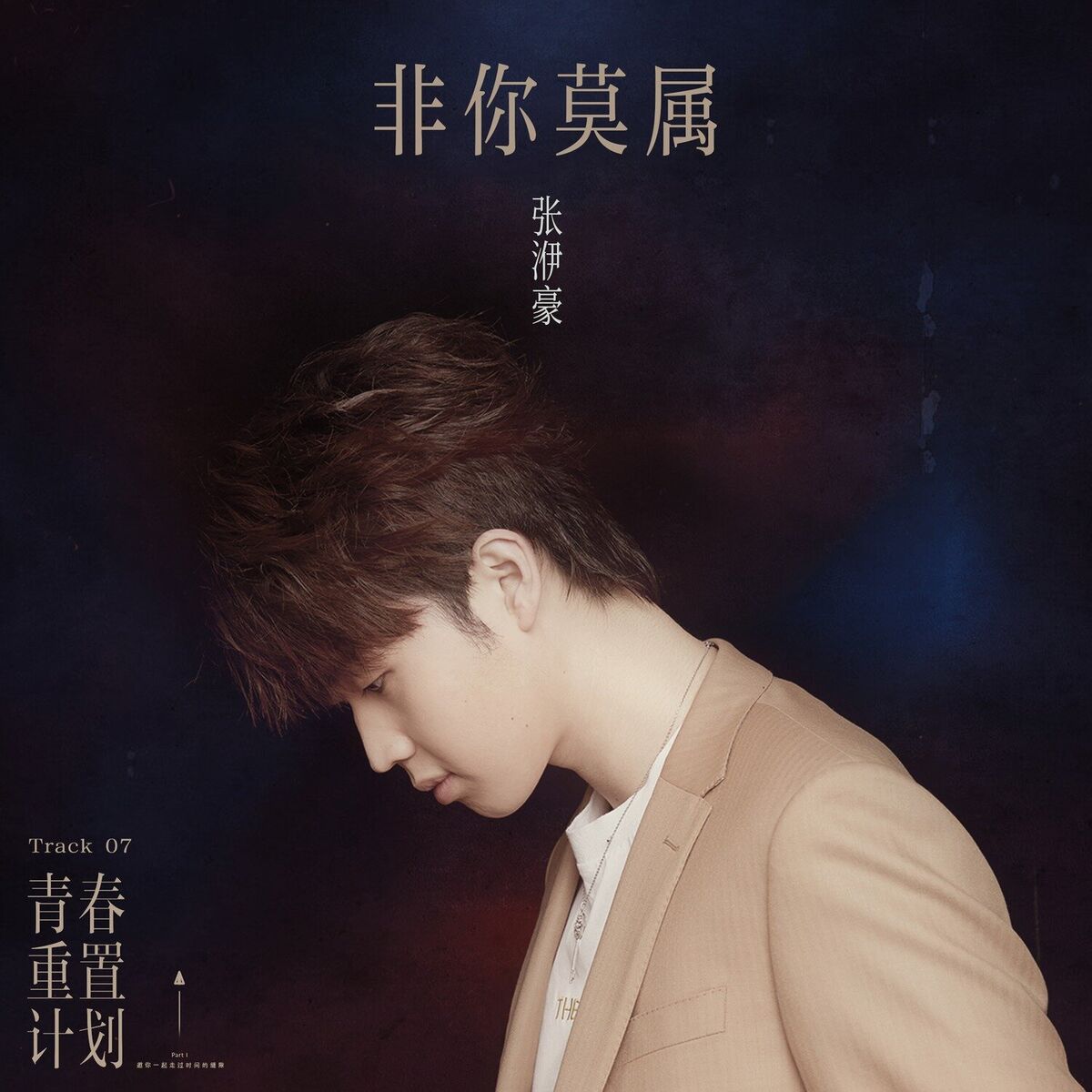 Album cover of 非你莫属