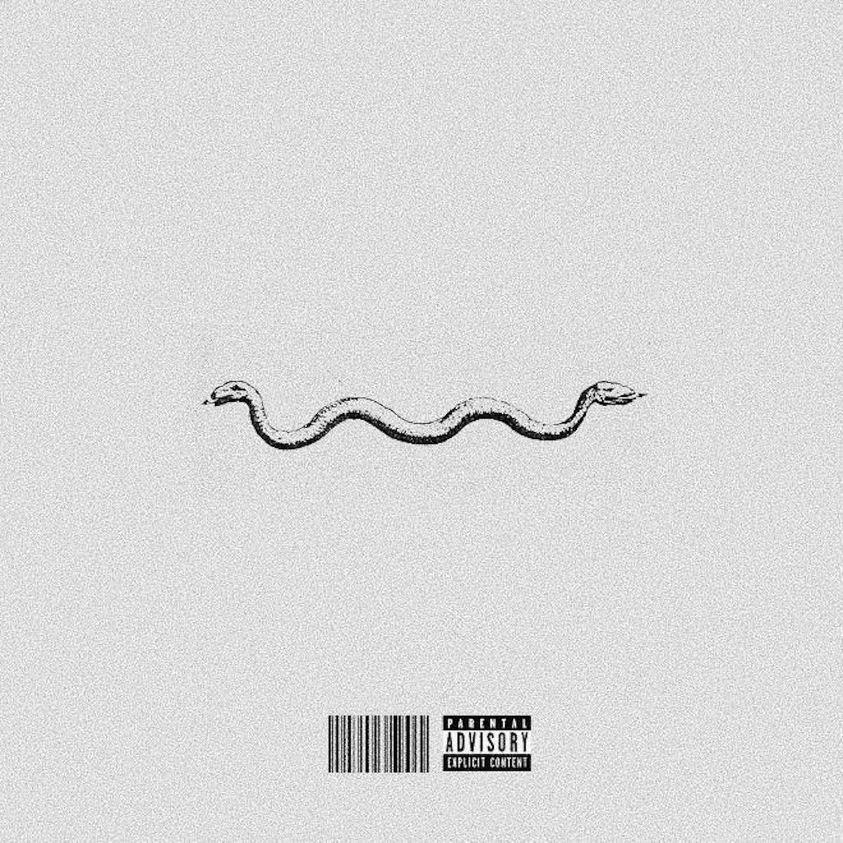 Album cover of Insulted