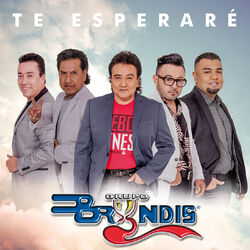 Cover of Te Esperaré (En Vivo)