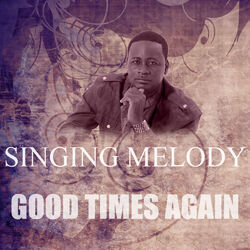 Cover of Good Times Again