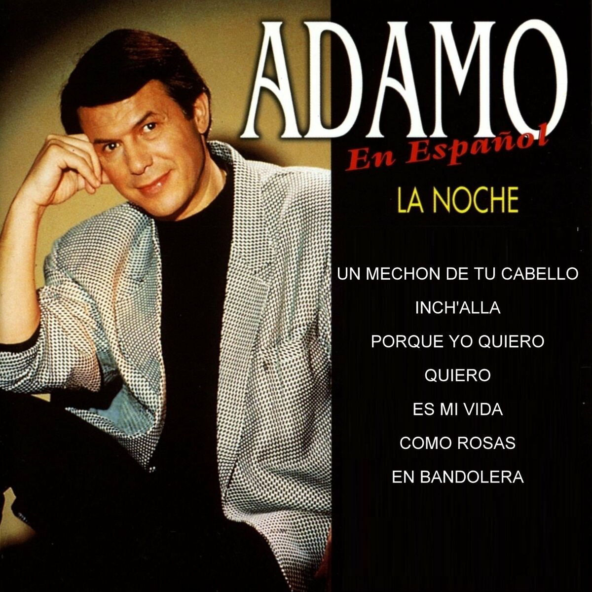 Album cover of Adamo en Español : La Noche y Otros Éxitos