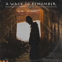 Cover of A Walk to Remember
