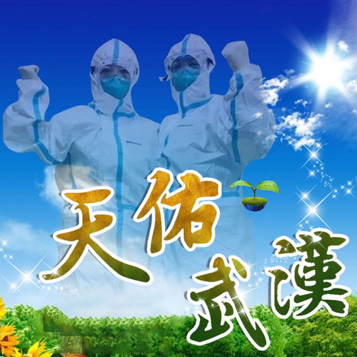 天佑武汉 (武汉话版)