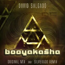 Cover of Booyakasha