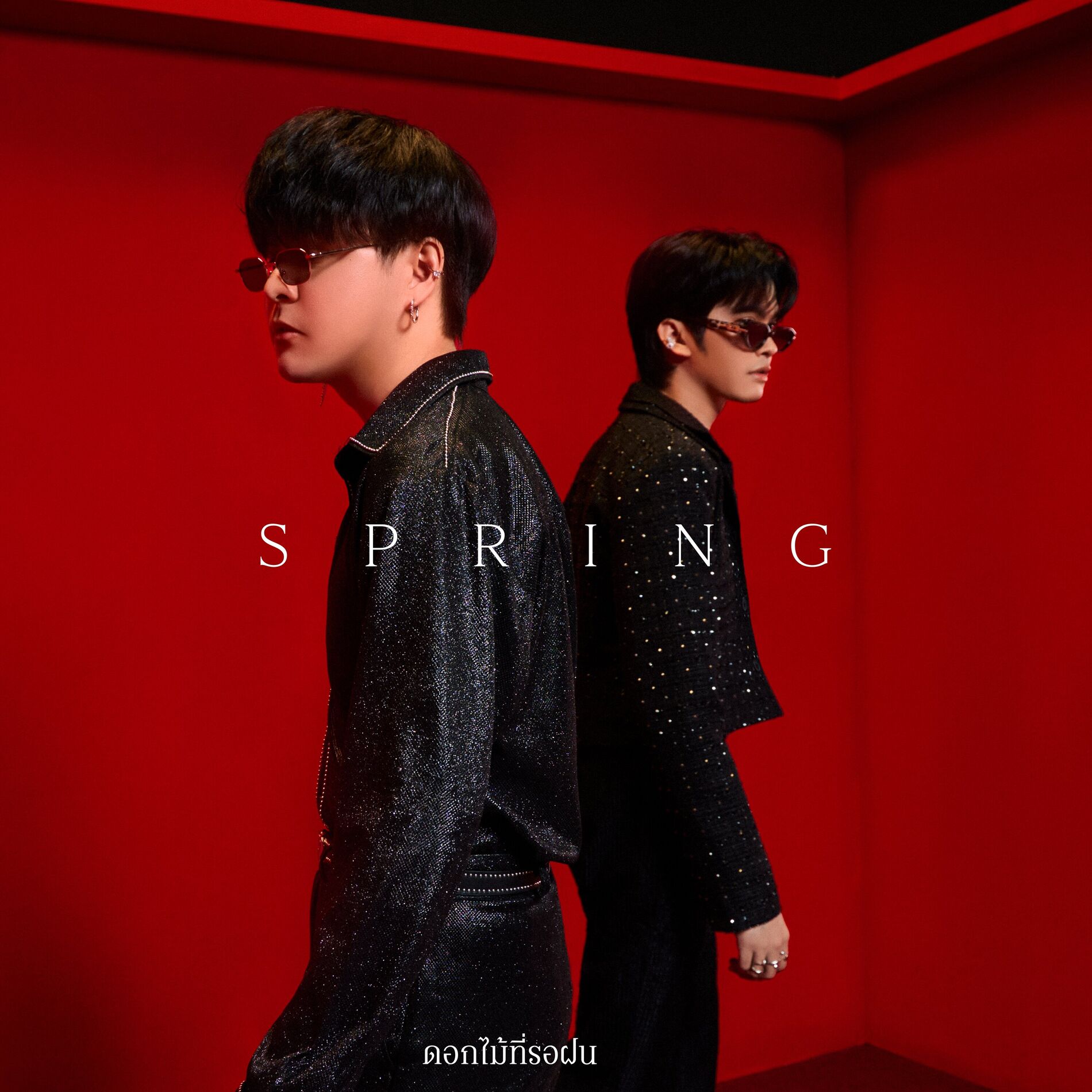 Album cover of ดอกไม้ที่รอฝน (spring)