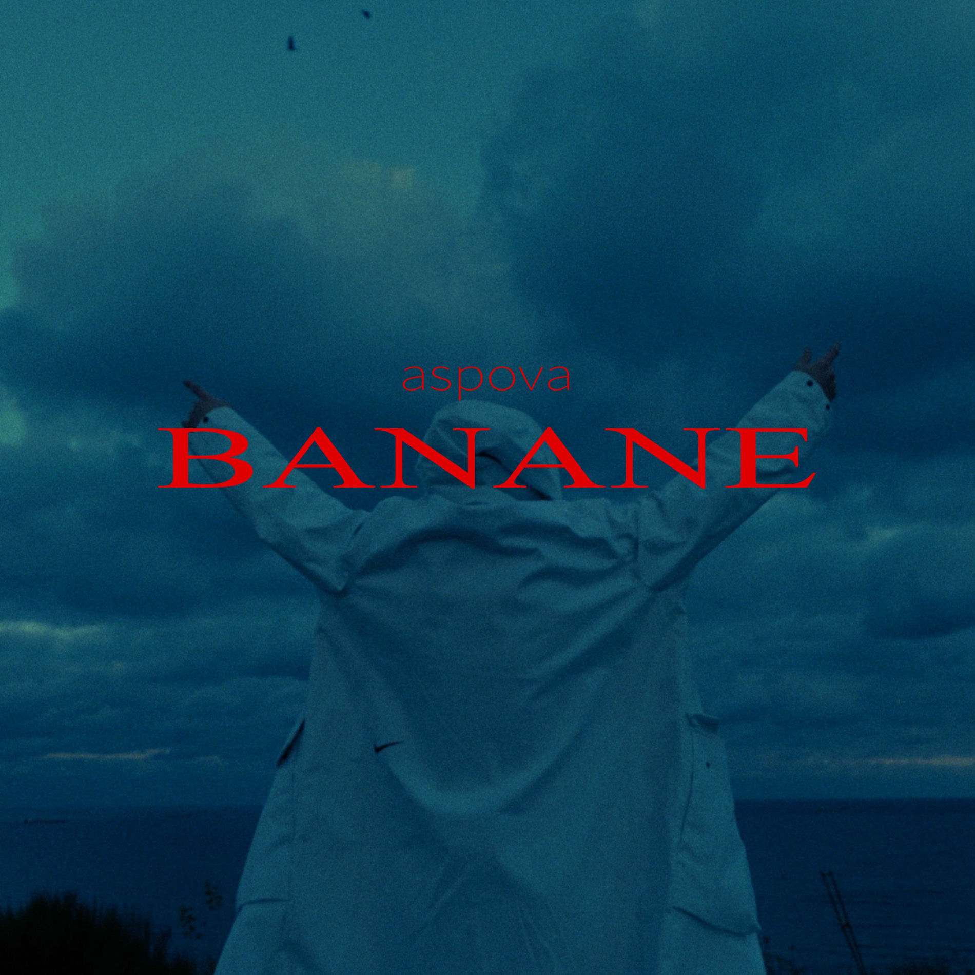 Album cover of BANANE