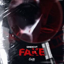 Cover of FAKE