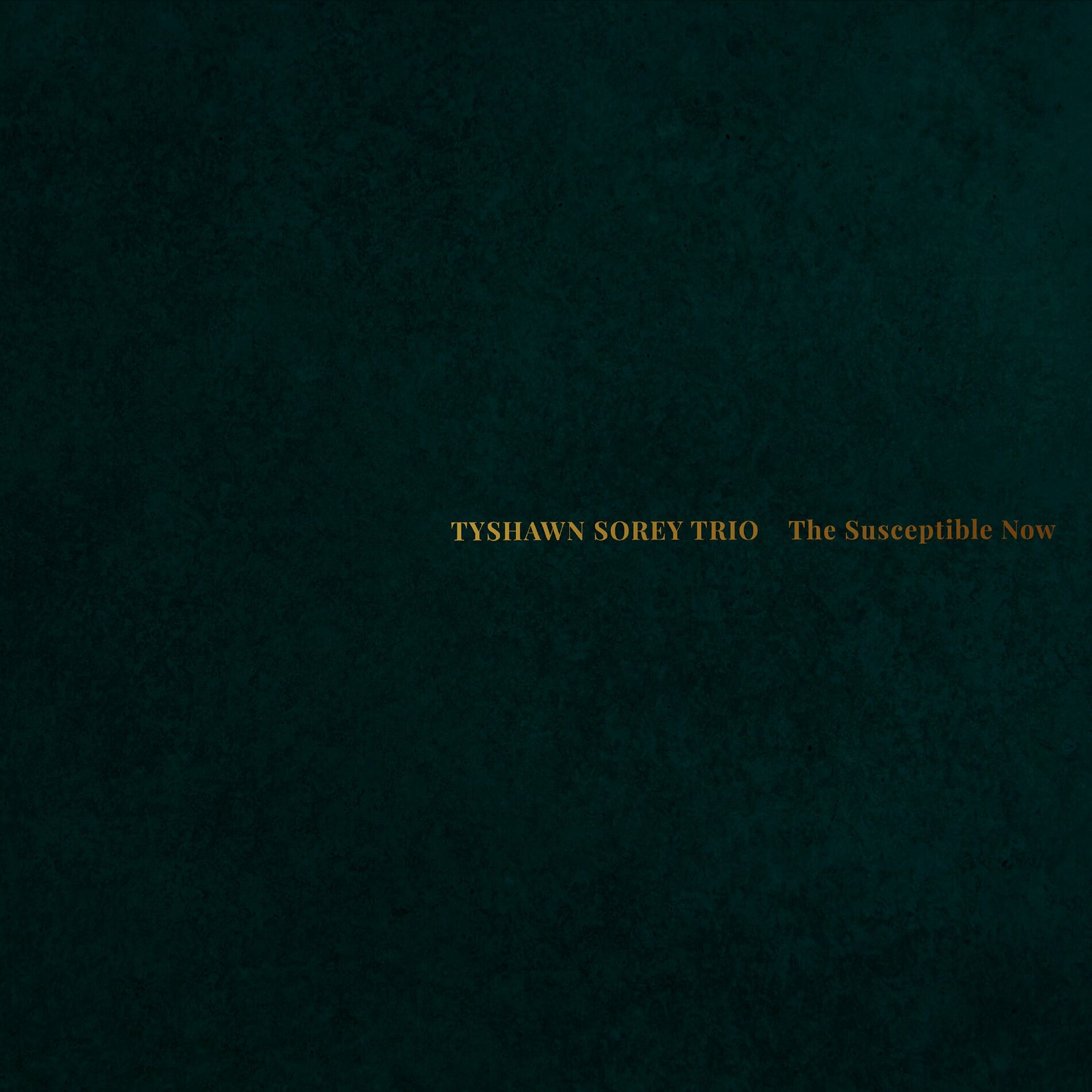 Album cover of The Susceptible Now