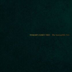 Cover of The Susceptible Now