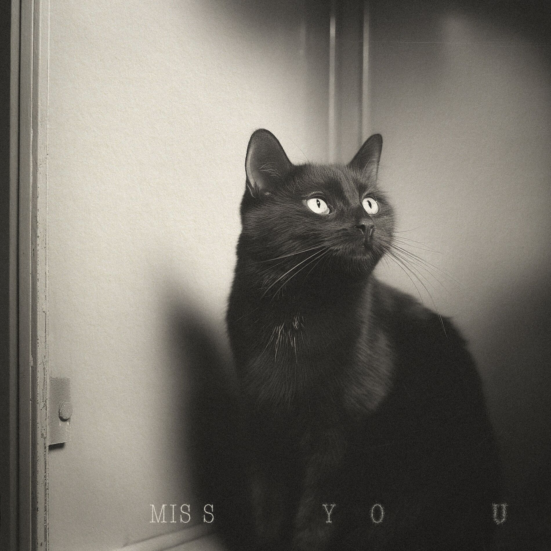 Album cover of Miss You