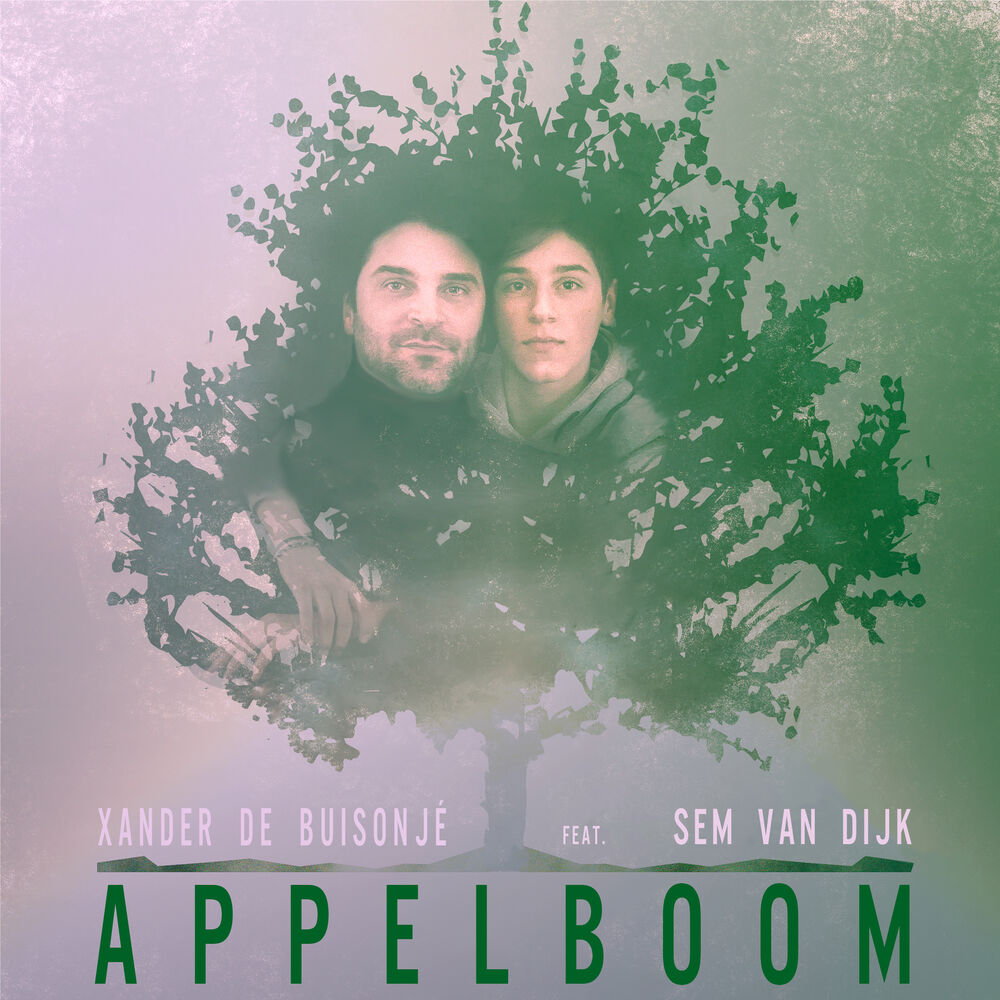Picture of Appelboom