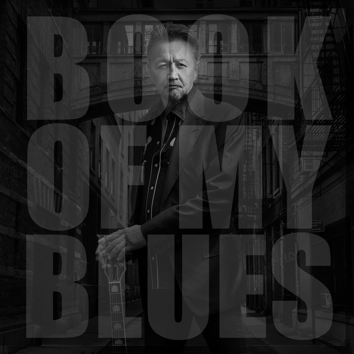 Album cover of Book of My Blues