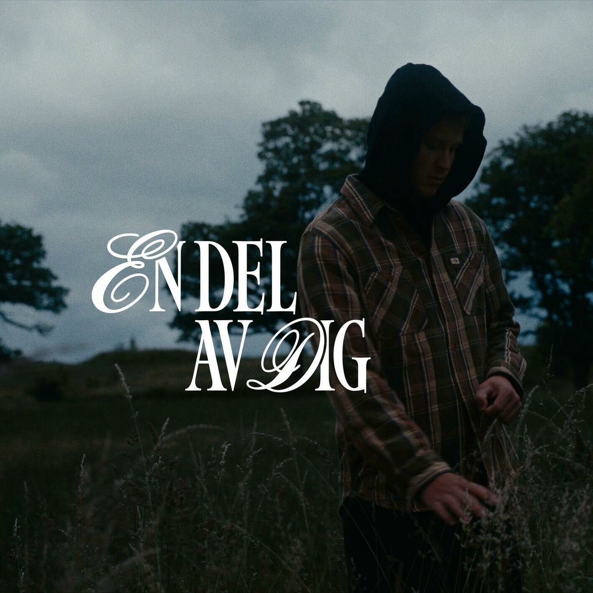 Album cover of En del av dig (From the Netflix film 