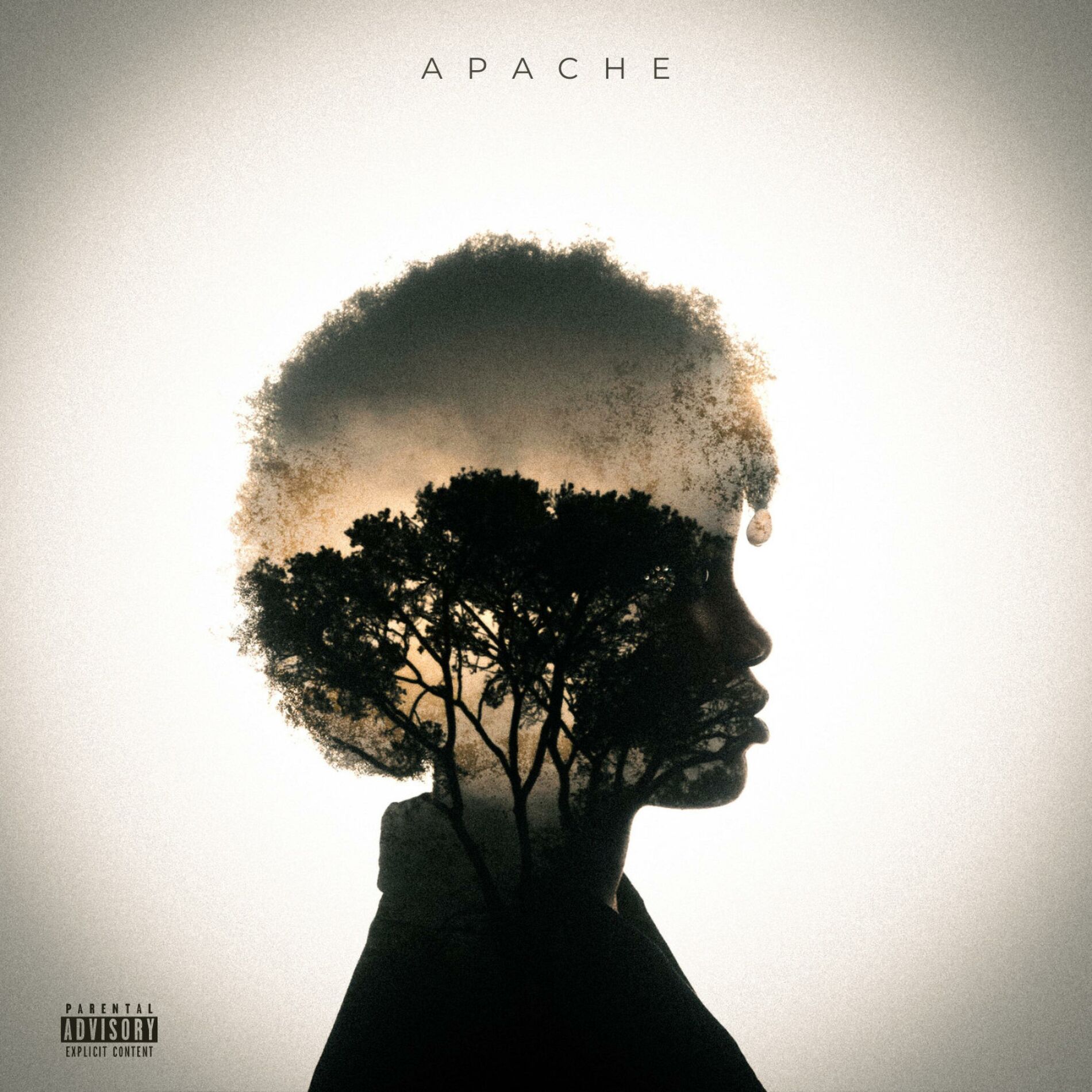 Album cover of Apache (feat. Tidem)