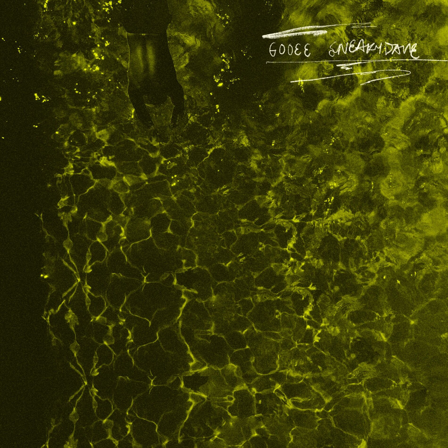 Album cover of Sneaky Dave