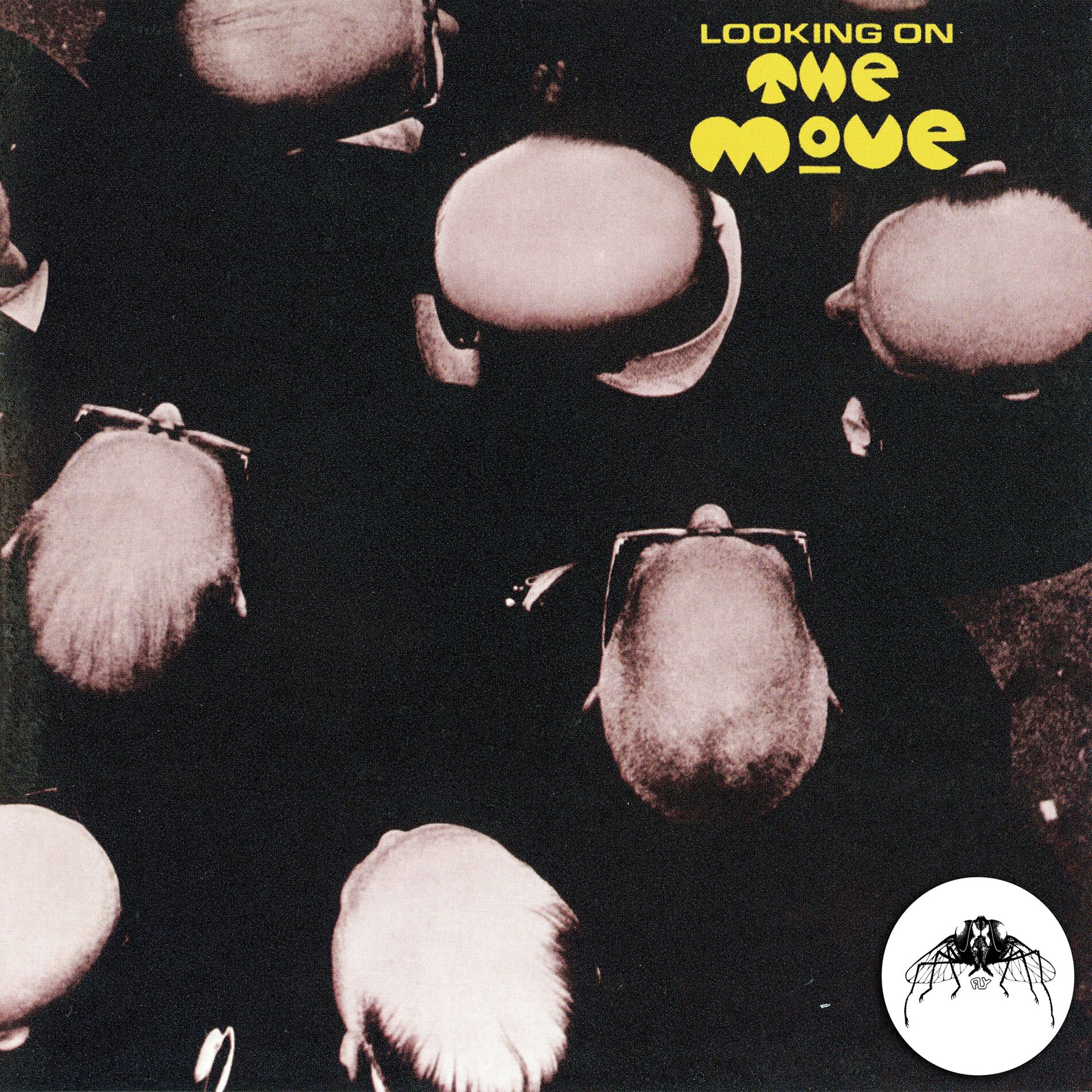 Album cover of Looking On (2008 Remaster)