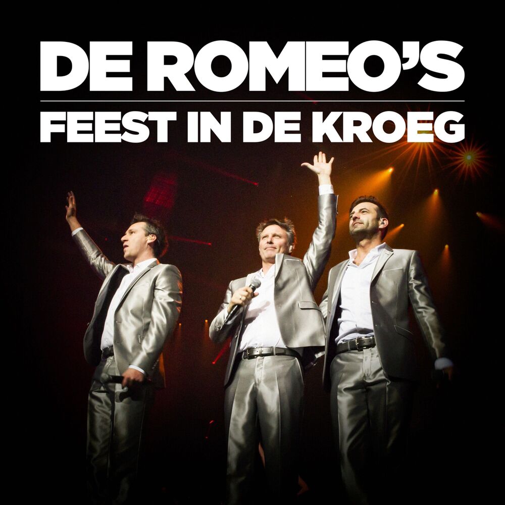 Picture of Feest In De Kroeg