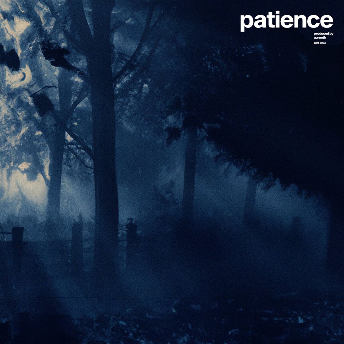 Album cover of patience