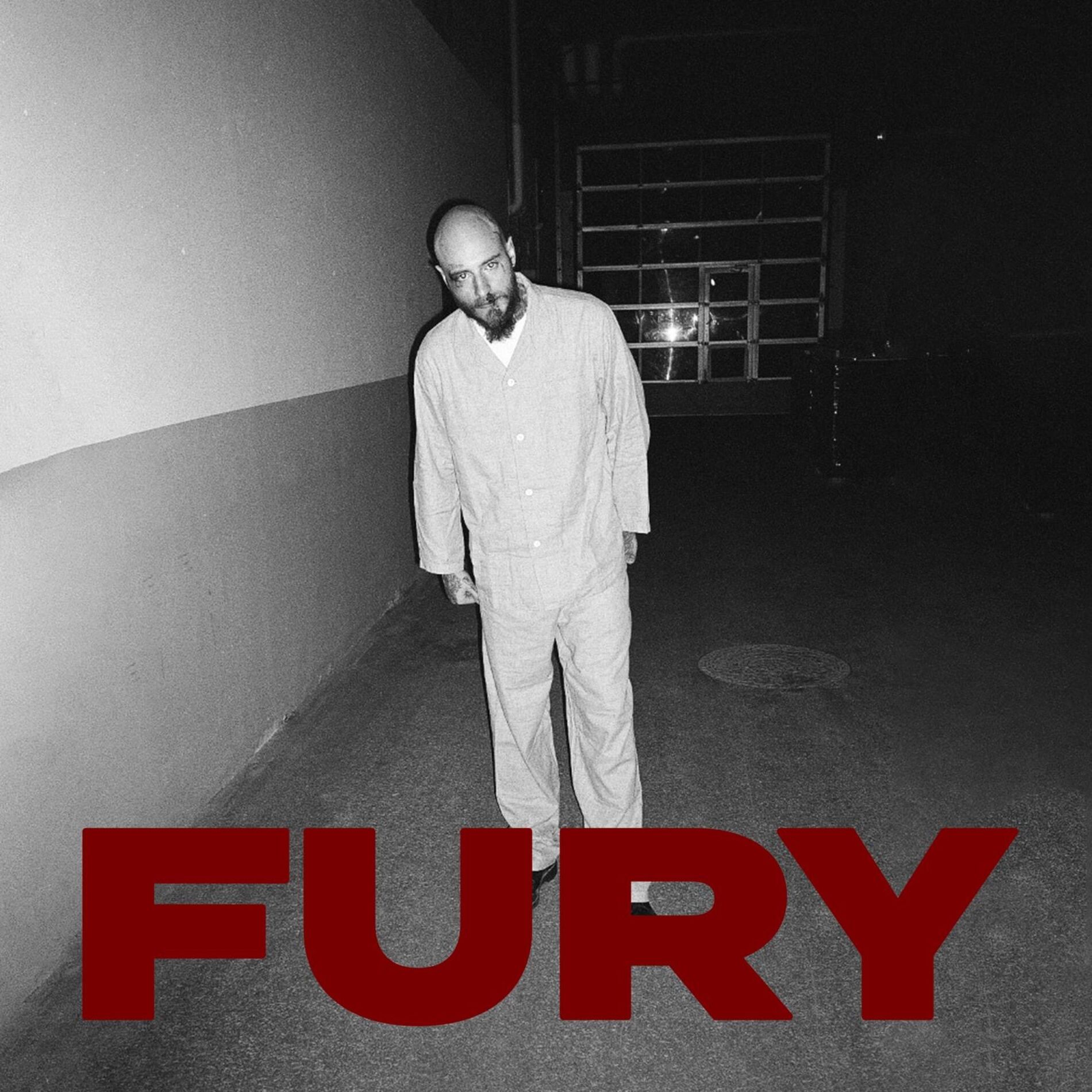 Album cover of Fury