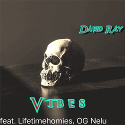 Cover of Vibes