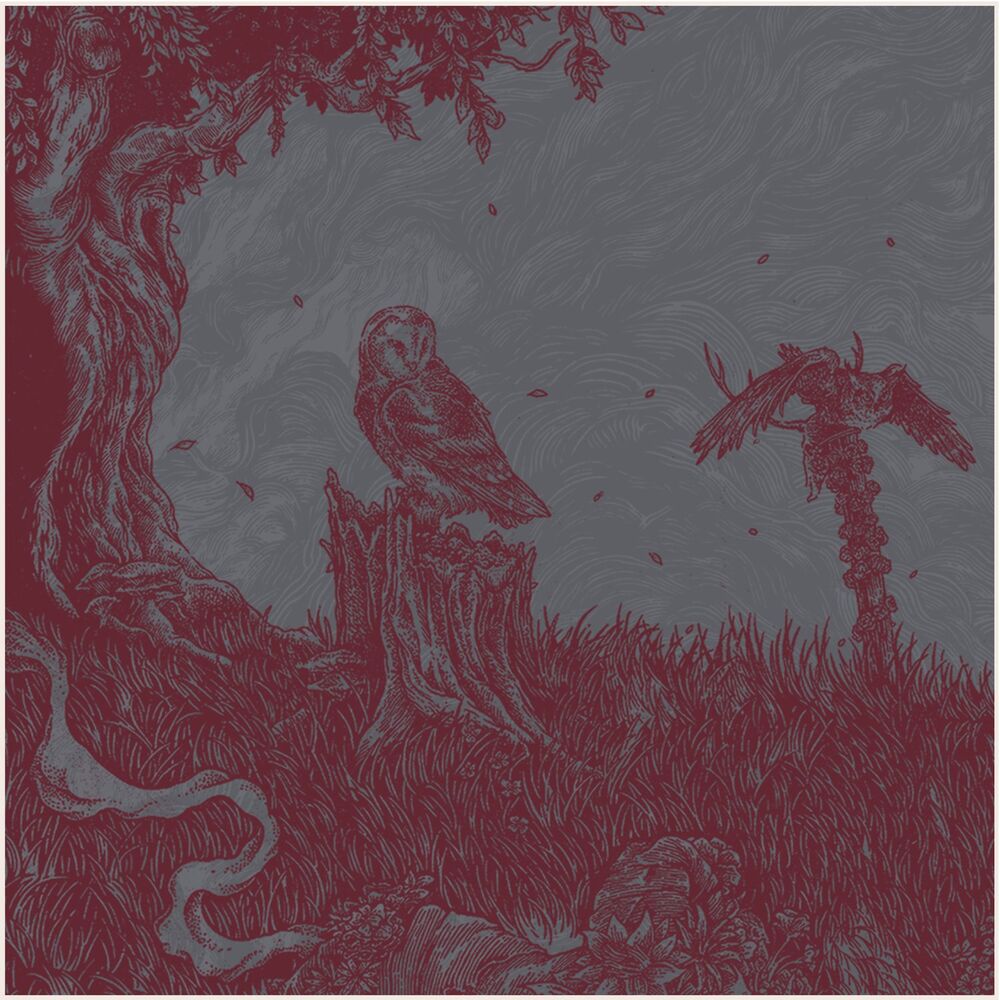 Picture of Red Dawn (Single Edit)