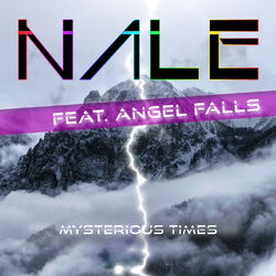 Cover of Mysterious Times