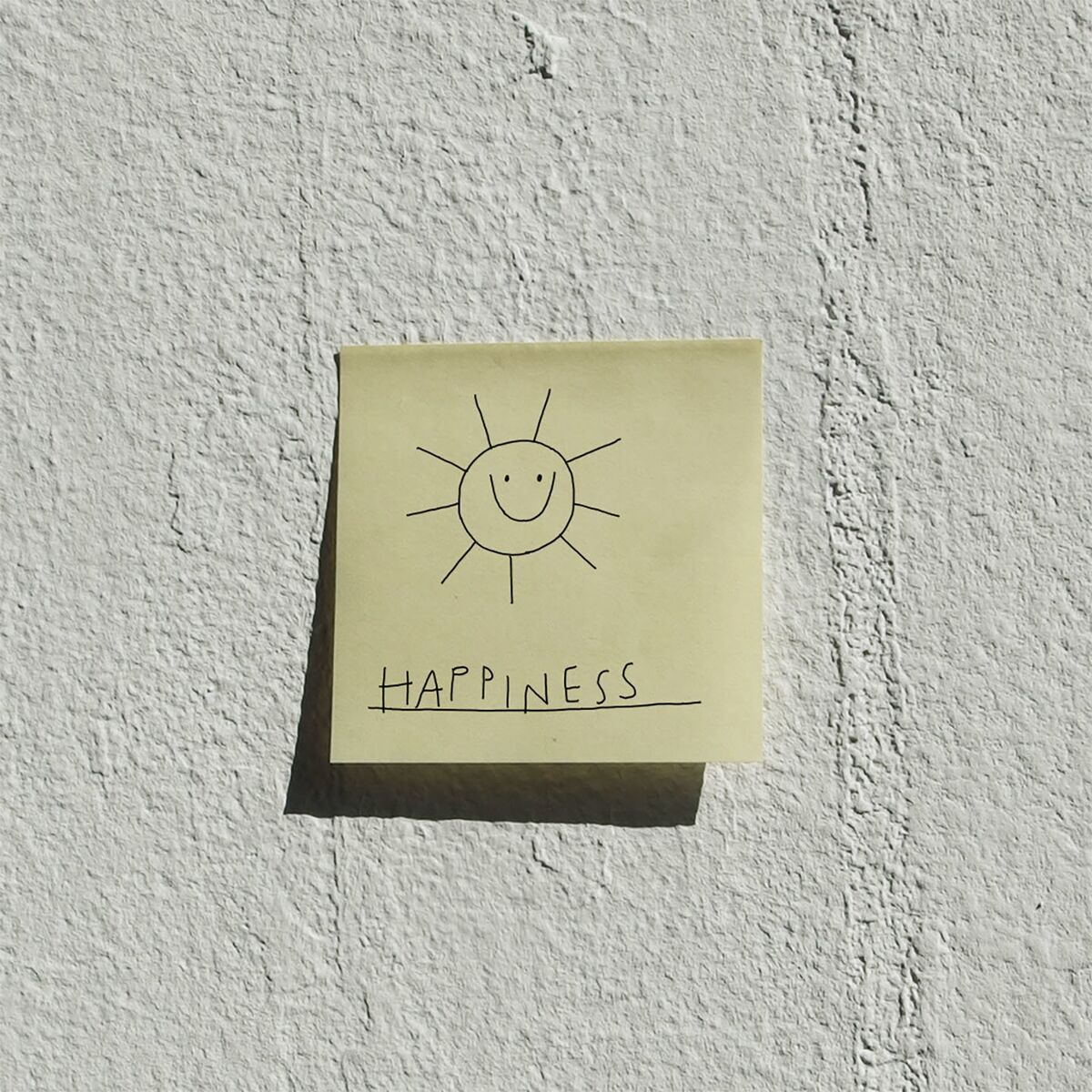 Album cover of Happiness