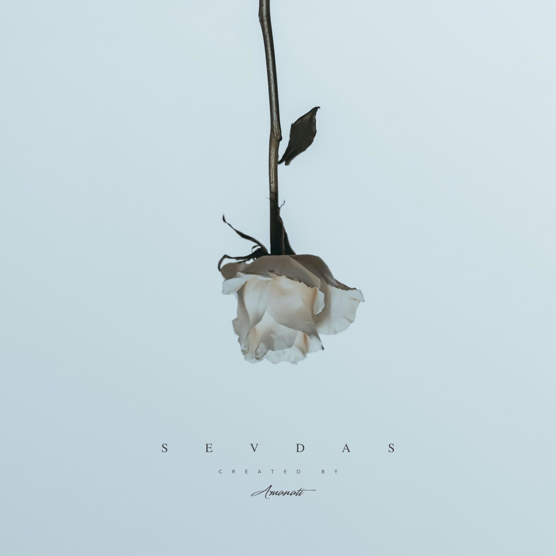 Album cover of Sevdas