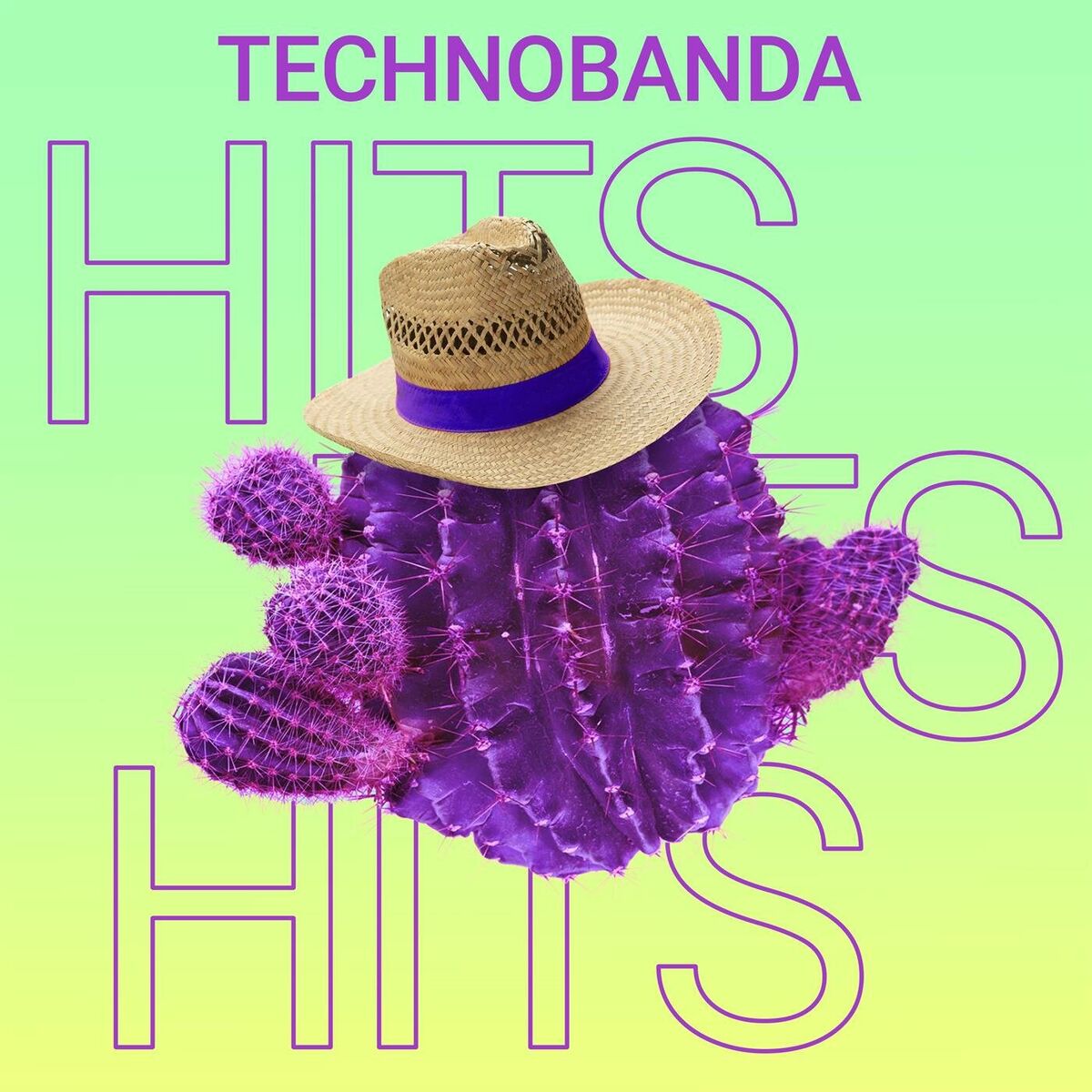 Album cover of Technobanda Hits