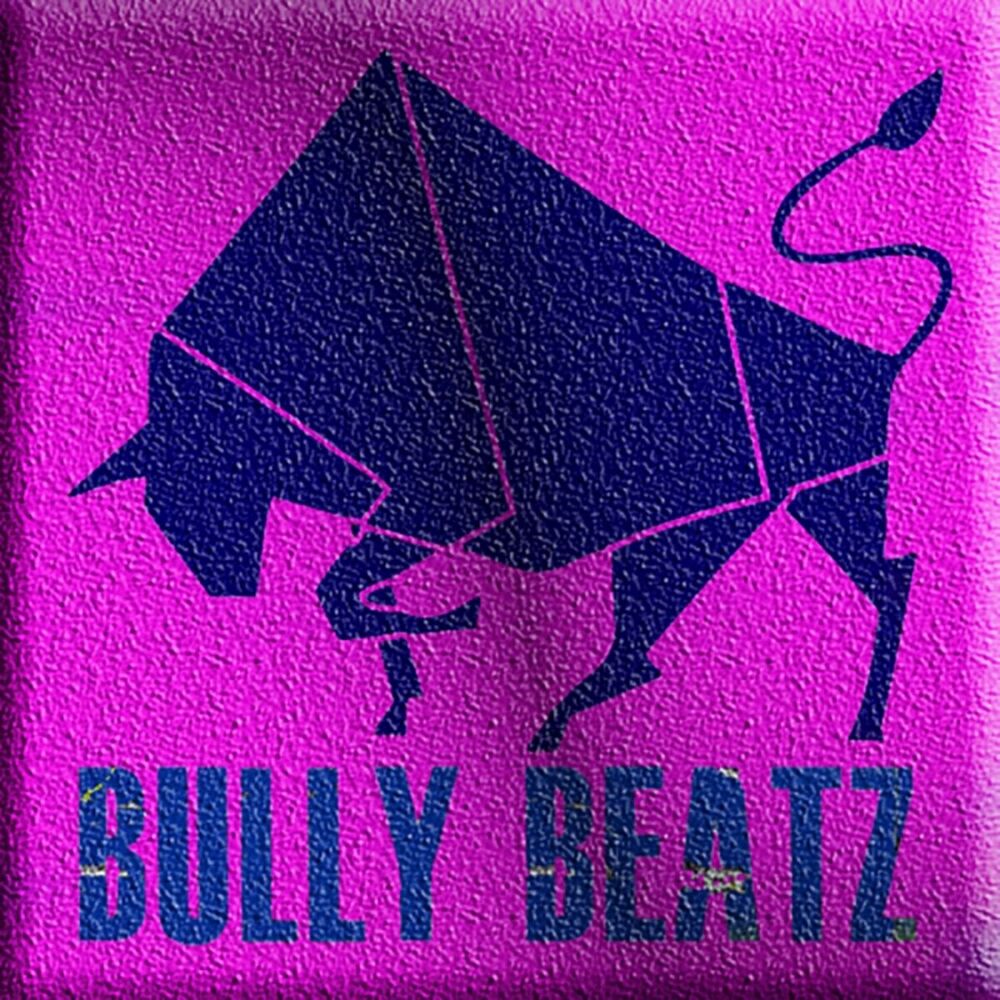 Picture of Bully Beatz Compilation