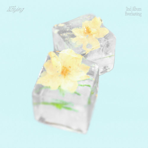 N.Flying – Everlasting