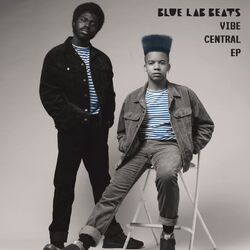 Cover of Vibe Central