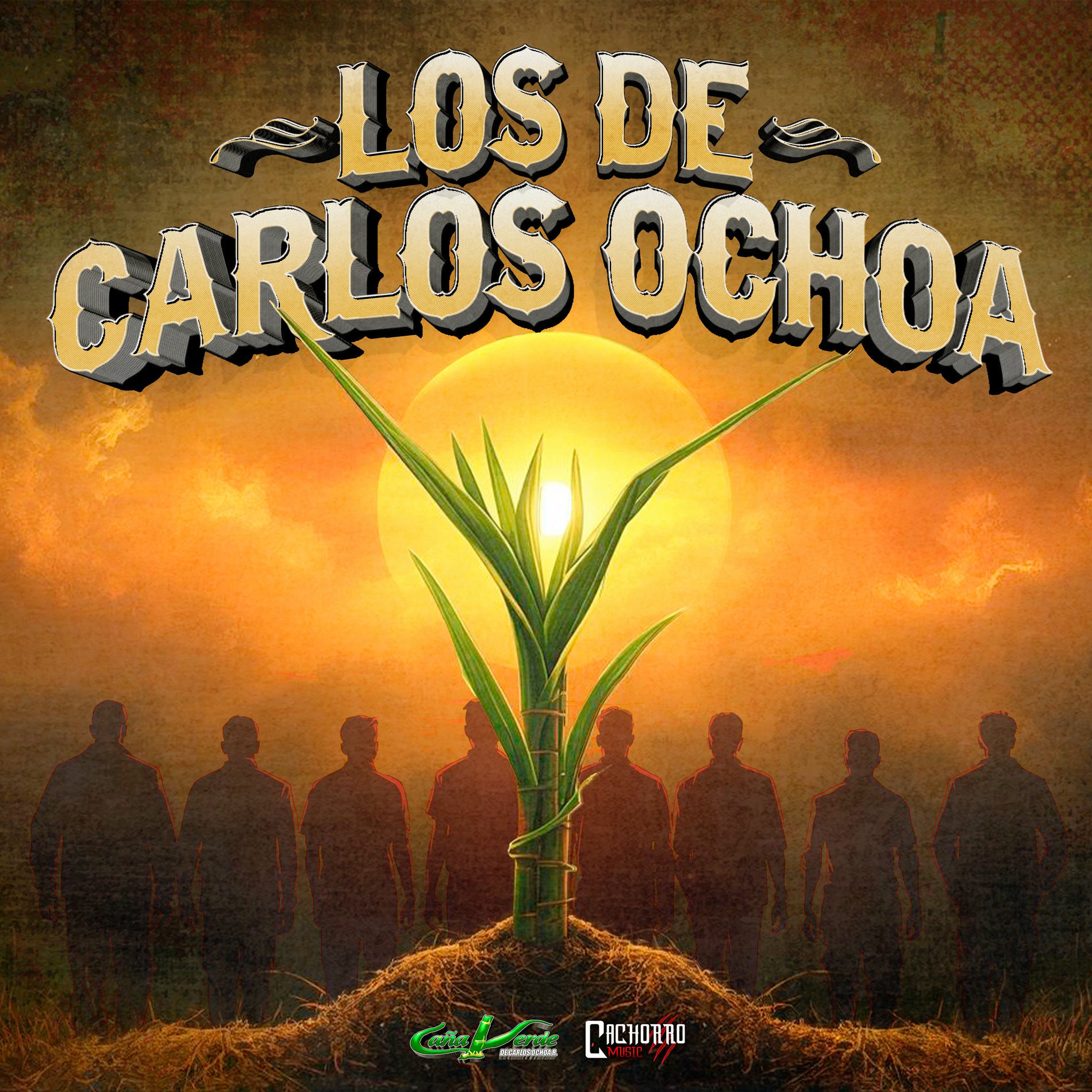 Album cover of Los de Carlos Ochoa